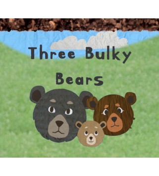 Three Bulky Bears Steam Key GLOBAL